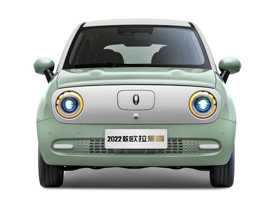 301-405KM Great Wall Motor EV Great Wall ORA Black Cat Ev แบตเตอรี่ LFP