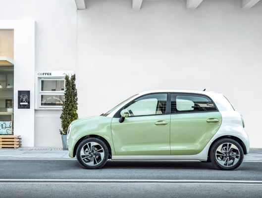 301-405KM Great Wall Motor EV Great Wall ORA Black Cat Ev แบตเตอรี่ LFP