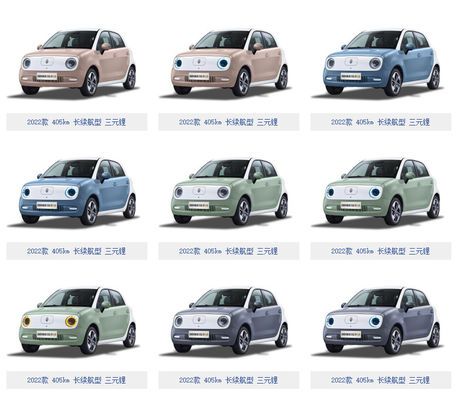 301-405KM Great Wall Motor EV Great Wall ORA Black Cat Ev แบตเตอรี่ LFP