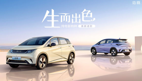 Pure Electric Mini Byd Dolphin Ev 301-405KM 5 ประตู 5 ที่นั่ง